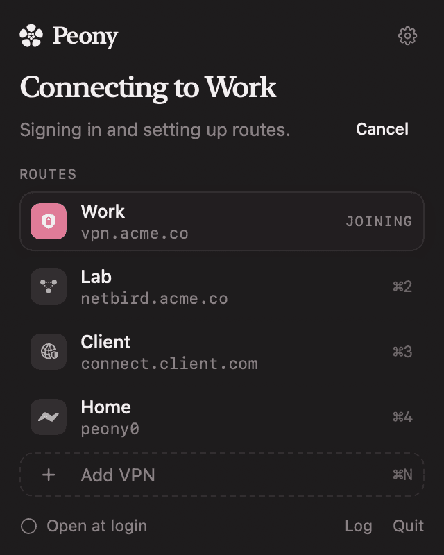 Peony's panel while connecting to Work, with the steps so far