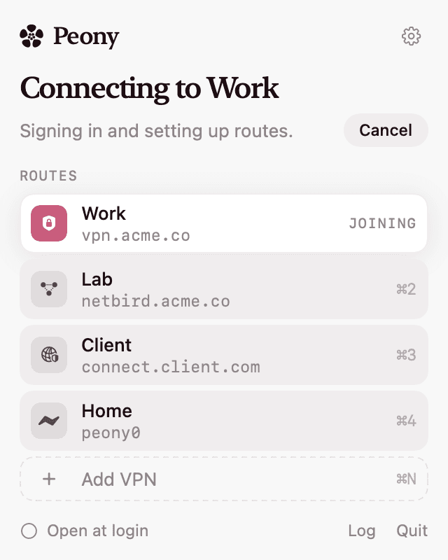 Peony's panel while connecting to Work, with the steps so far